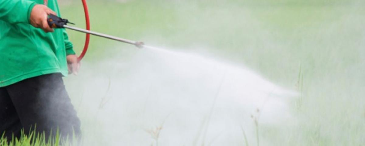 Teens exposure to pesticides may damage sperm